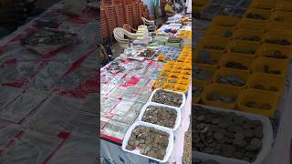 சேலத்தில் நாணய கண்காட்சி (Coin Exhibition)