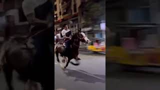 Horse Riding In India   