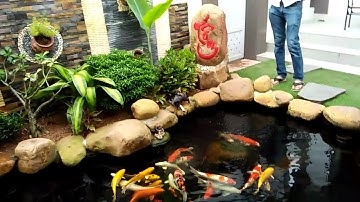 Thả cá cho hồ koi. Cafê. Sam ballad. Lê dũng. Tk4.tt. quán hàu.