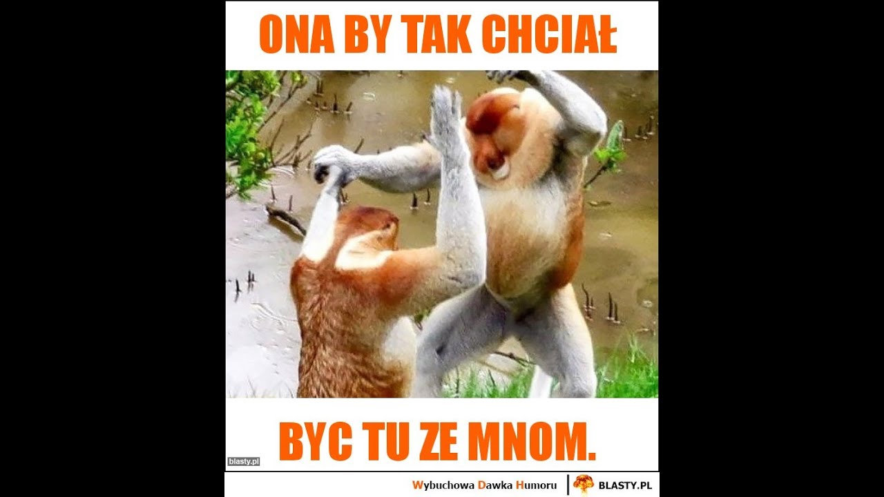 Ona by tak chciała - YouTube