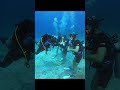 Diving on koh tao open water diver course