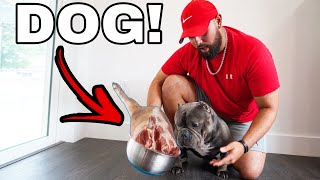 Making My Own Dog Food Recipe For My Exotic Bully Puppy! *Homemade*