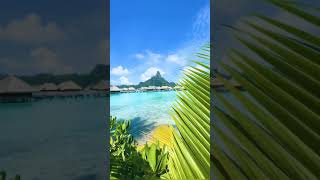 أجمل جزر العالم بورا بورا most beautiful Island in the world Bora Bora