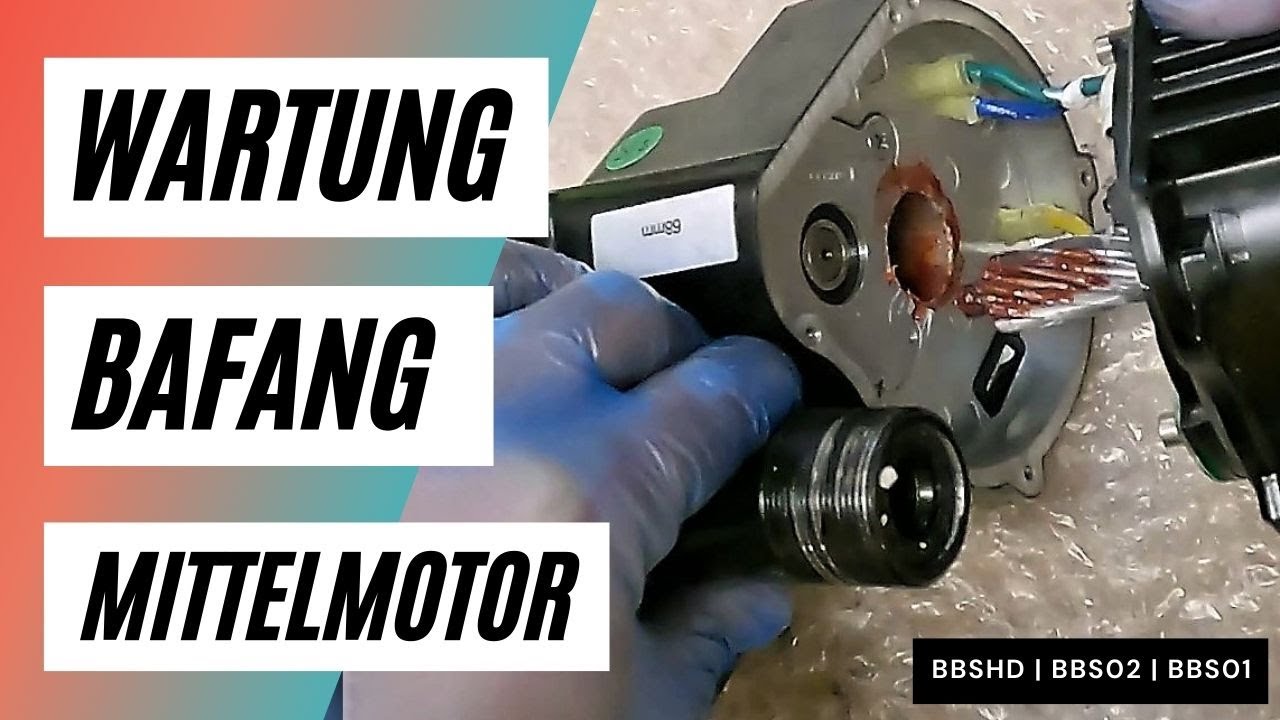 Wartung Bafang BBSHD BBS02 BBS01 Mittelmotor (Maintenance)