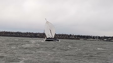 BENETEAU 36.7 spinnaker wipeout flying gybe broach heeling symmetrical kite high wind sailing chute