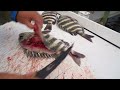 Middle of video