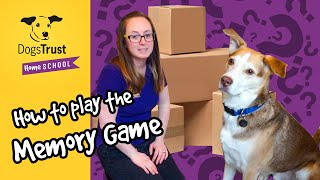How good is your dog's memory? | Dogs Trust