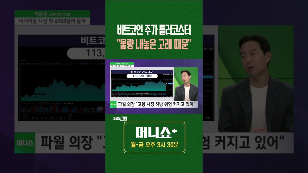 머플] 비트코인 주가 롤러코스터 