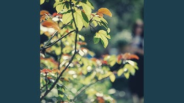Mind-blowing Backdrops for Autumn Vibing