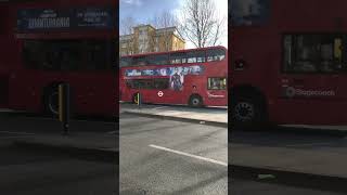Route 205, Stagecoach 12313, SN14TYO