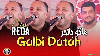 Cheb Reda 2024 Galbi Datah - ماتو بالحر | Exclusive Live Music
