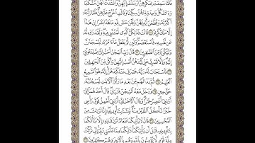 الوجه 239 من القرآن مكرر ١٠ مرات مع الآيات | سورة يوسف | الشيخ خليفة الطنيجي
