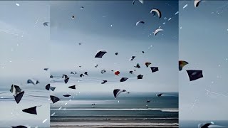 If I Must Die - By Checkpoint 303 Feat. Maloun