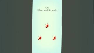 POKEMON GO... 3 EGGS READY TO HATCH!!!