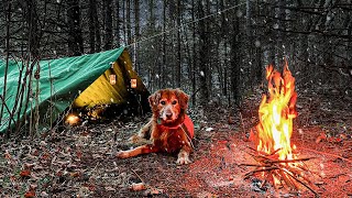 WINTER INSIDE A TARP SHELTER with my Dog!