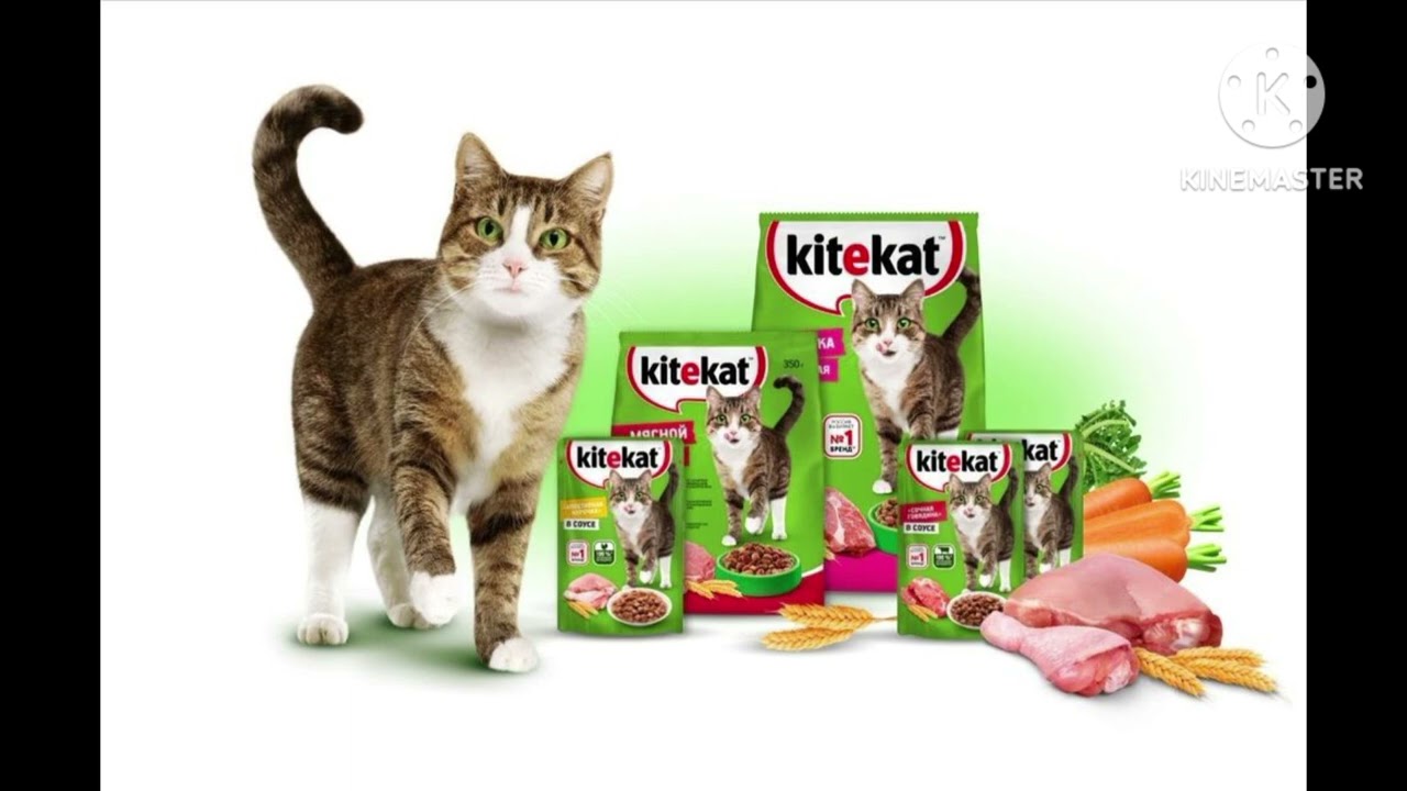 Mr. Credo - Буду думать.mp3