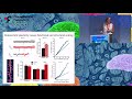 Anna Hobbiss  - Alzheimer&#39;s Global Summit - XI CIBERNED SCIENTIFIC FORUM 22/09/2017