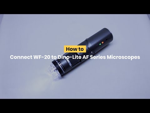 How to Connect WF-20 to Dino-Lite AF Series Digital Microscope?