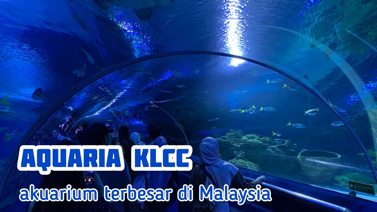 Tempat menarik di Kuala Lumpur aquaria KLCC jom tengok ikan di