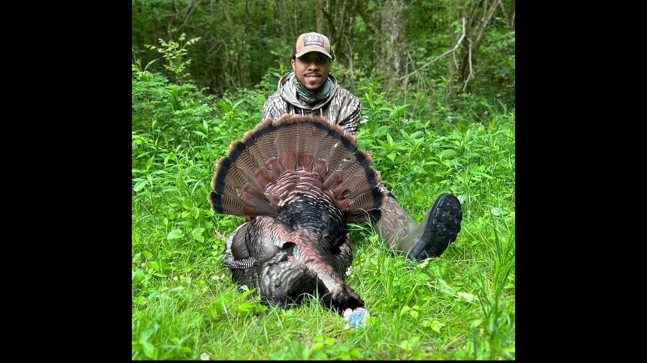 2023 Tennessee Turkey Hunt l 🦃 💥 l Henned up YouTube