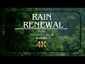 Heavy Rain in Dense Jungle at Night | 2 Hours for Deep Sleep | No Music