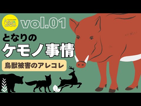 野生動物をもとめて: テレビ取材班とともに Monster Wolf (LBS)] A bear descends on a human settlement. A