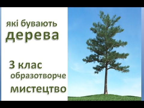 які бувають дерева, 3 клас, образотворче мистецтво #draw, як намалювати дерево - YouTube