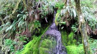 Spring waterfallz in Oregon #3