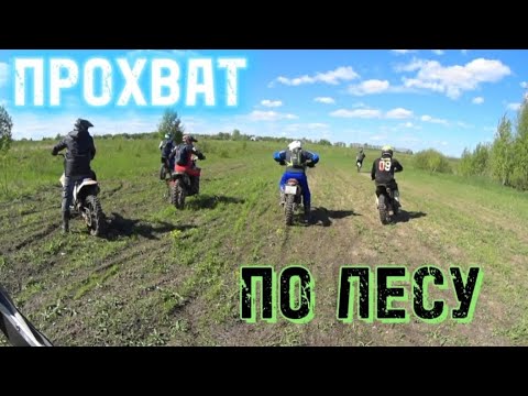 Видео: ПРОХВАТ ПО ЛЕСУ