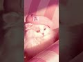 #l like pink
