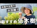 【低木樹を制する者はお庭を制す】お庭・玄関で大活躍のおすすめ低木樹♪