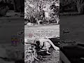م ممممم مممم 