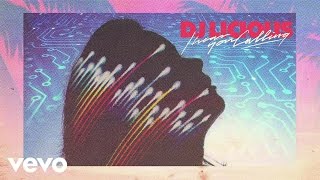 Dj Licious - I Hear You Calling (Zonderling Remix)