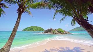 Tropical Beach with Waves crashing on Sandy Shore  | White Noise for Meditation & Sleep | 4K UHD
