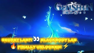 🔓 How to Unlock the Curtain-Form Blackbody Containment Lab! | Genshin Impact screenshot 2
