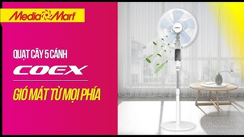 Quạt cây 5 cánh có điều khiển Coex: Làm mát nhanh chóng (CF-7117A)  - Điện máy MediaMart