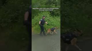 Tracked Down in Mud How K9 Caught 7 Eleven Robber #policechase #arrest #bodycam #lawenforcement