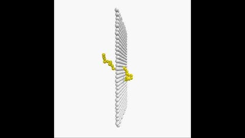 Molecular Dynamics simulation of polymer translocating through a nanopore