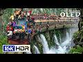 INSANE 16K Video OLED HDR TEST | 8K HDR Dolby Vision 120FPS (8K/4K Video TV)