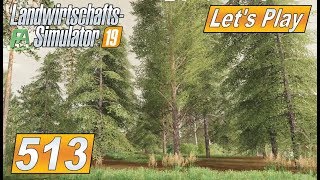 ["Landwirtschafts-Simulator 19", "LS19", "Farming Simulator 2019", "LetsPlay", "Let's Play", "FS19", "Nordfriesische Marsch mod map", "NF Marsch 4fach", "global company", "seasons mod", "Autodrive", "#513"]