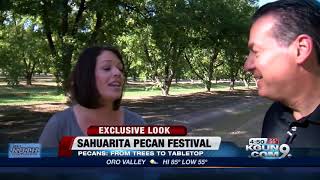 Behind the scenes at pecan factory