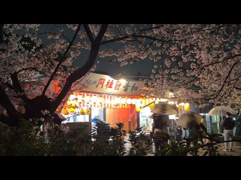 Walk with me around Kyoto, Japan