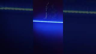 L E D lights
