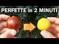 CASTAGNE: ecco come PULIRLE IN 2 MINUTI , IL MIGLIOR TRUCCO SEMPLICE e GENIALE, FRUTTO  DI OTTOBRE