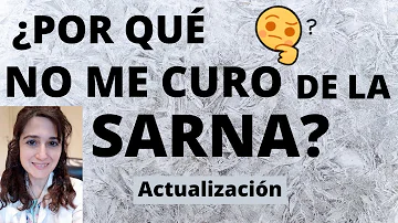 ¿Por qué no desaparece la sarna después del tratamiento?