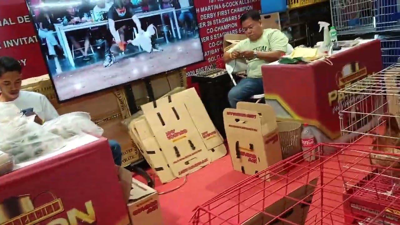 PHILIPPINE BREEDERS FESTIVAL 2025 SMX MOA