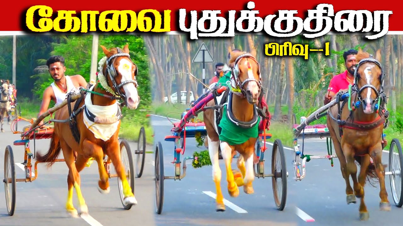 கோவை புதுக்குதிரை பந்தயம் 10.11.2025