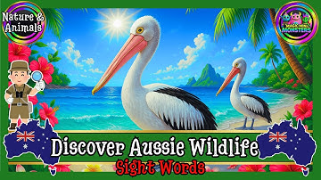 Discover Aussie Wildlife | Part 2 | Magic Mini Monsters #magicminimonsters