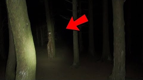 NHỮNG QUY TẮC KỲ QUẶC VỀ HÀNG CÂY PHÍA SAU TRƯỜNG [analog horror]