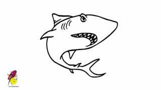 sea creatures draw drawing animal shark